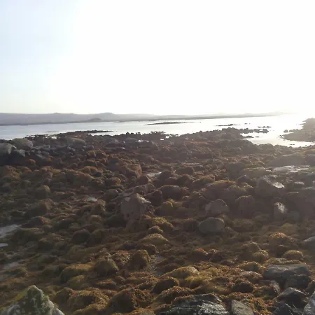 Sea Breeze *
